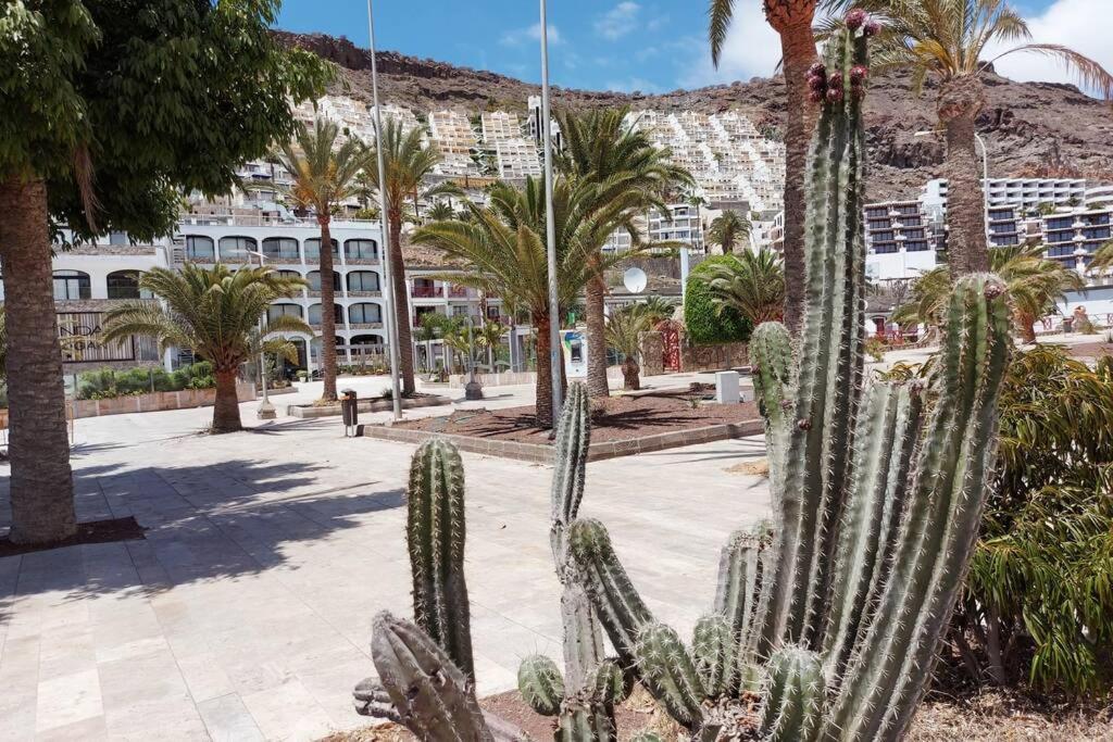 Ertel Suite Monte Golf-Vista Mar Playa Del Cura  Εξωτερικό φωτογραφία