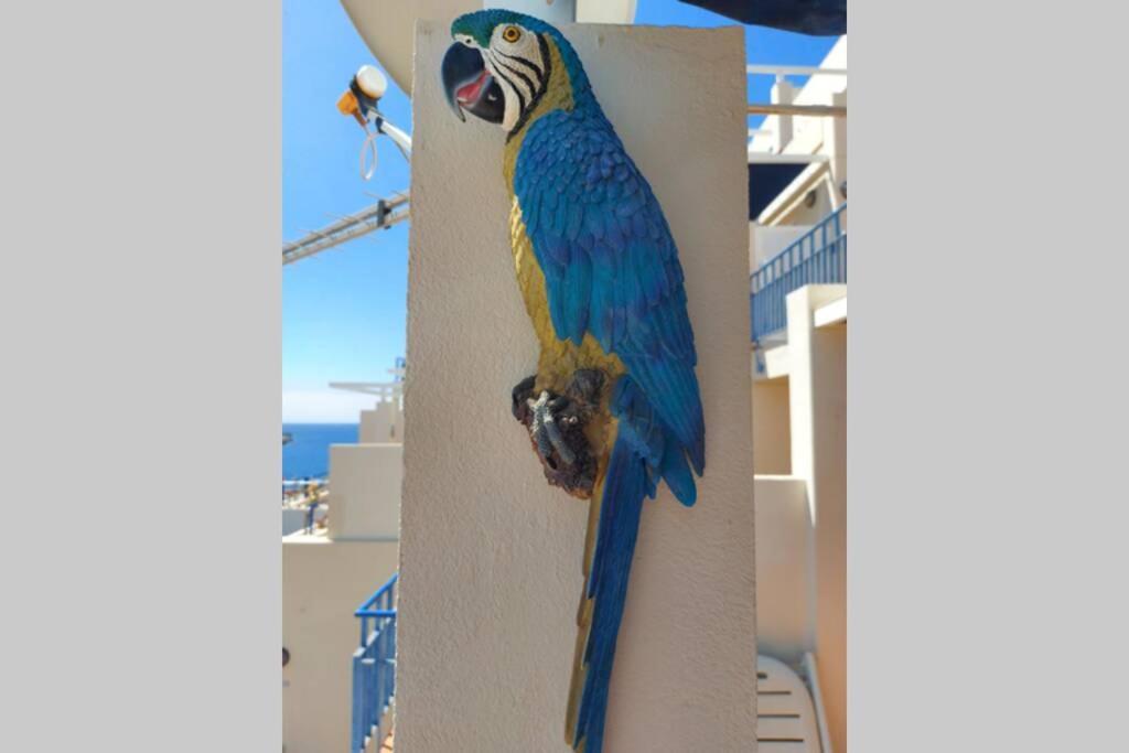 Ertel Suite Monte Golf-Vista Mar Playa Del Cura  Εξωτερικό φωτογραφία
